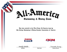 Load image into Gallery viewer, Blank All-America &amp; Team &amp; Scholar All-America Certificate
