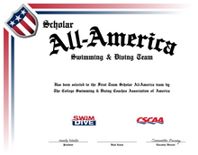 Load image into Gallery viewer, Blank All-America &amp; Team &amp; Scholar All-America Certificate
