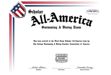 Load image into Gallery viewer, Blank All-America &amp; Team &amp; Scholar All-America Certificate
