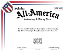 Load image into Gallery viewer, Blank All-America &amp; Team &amp; Scholar All-America Certificate
